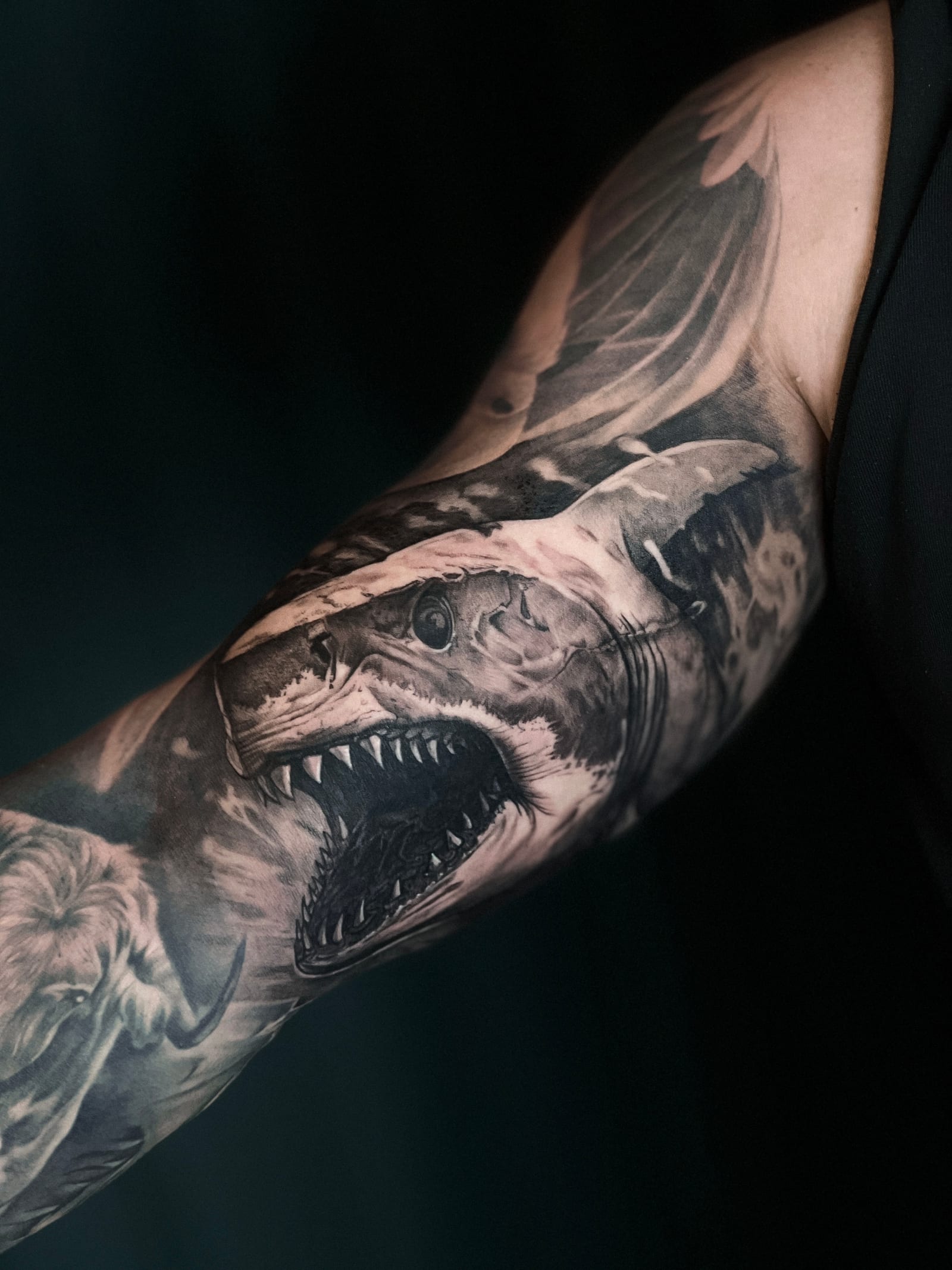 акула — авторське татуювання в Karmazin Tattoo Studio